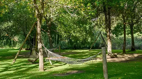 29_Kiara_Lodge_Facility_Hammocks